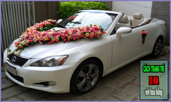Cách trang trí xe cưới tuyệt đẹp với hoa hồng