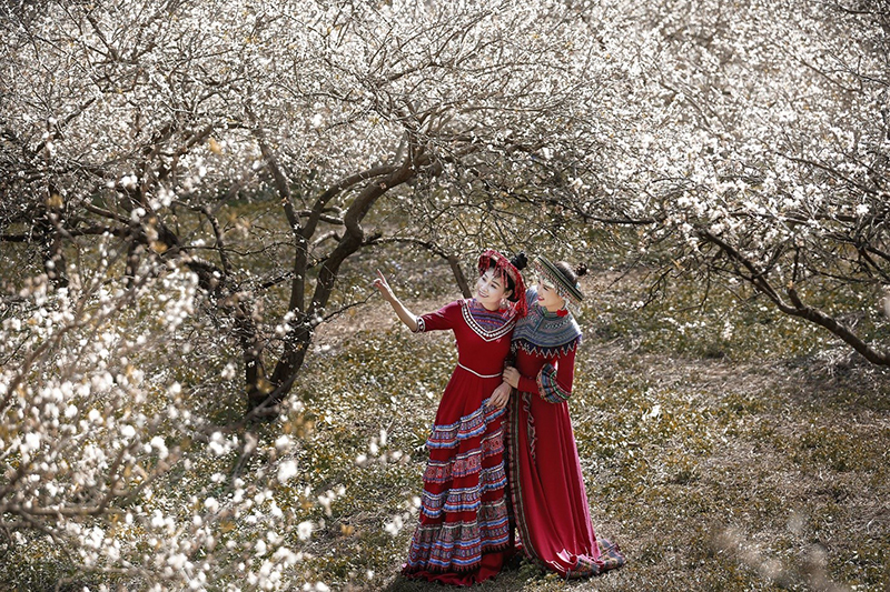 Nữ doanh nhân Nguyễn Hồng Liên đẹp dịu dàng bên sắc trắng của hoa mận tinh khôi