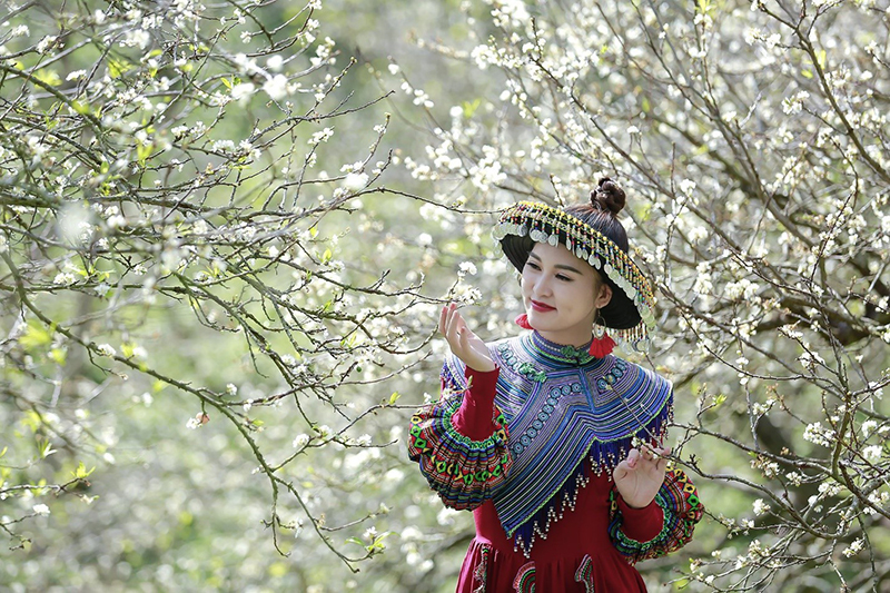 Nữ doanh nhân Nguyễn Hồng Liên đẹp dịu dàng bên sắc trắng của hoa mận tinh khôi
