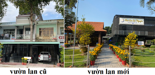Mô hình trồng lan trên mái nhà và chuyện khởi nghiệp thành công từ hoa phong lan Var của anh Nguyễn Tấn Lên