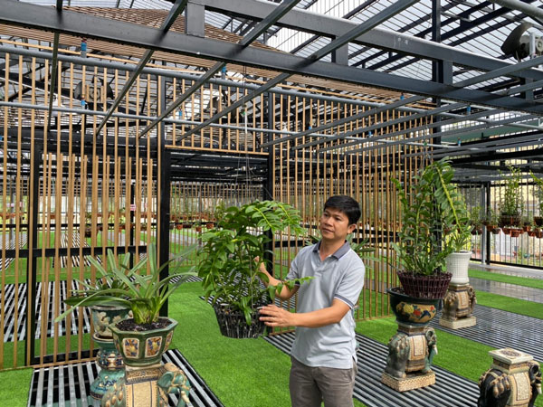 Mô hình trồng lan trên mái nhà và chuyện khởi nghiệp thành công từ hoa phong lan Var của anh Nguyễn Tấn Lên