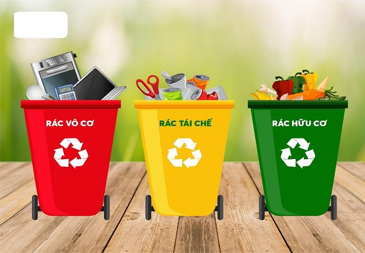 Thùng rác hữu cơ màu gì? Vai trò quan trọng trong tái chế